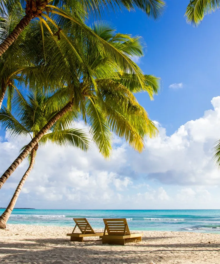 Palm trees and turquoise sea on a Dominican beach